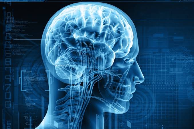 Neurology Treatment